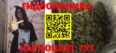 индика Конаково