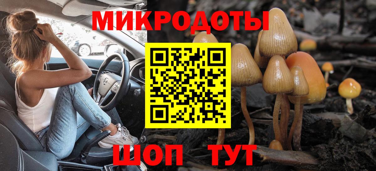 где найти наркотики  Галлюциногенные грибы MAGIC MUSHROOMS  Куйбышев  Вход с VPN  Псилоцибиновые грибы Psilocybine cubensis 